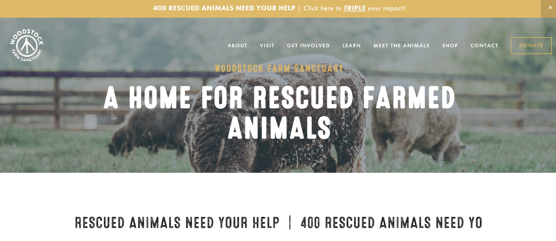woodstock farm sanctuary agriculture ecommerce website